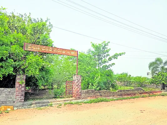 వనాలపై పట్టింపేది? 