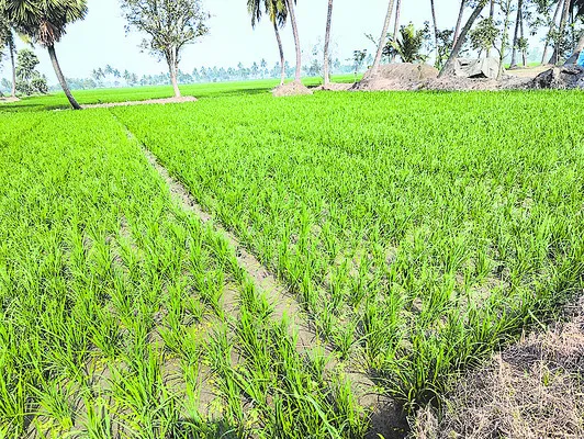 కాలువల మూసివేత సాధ్యమేనా? 