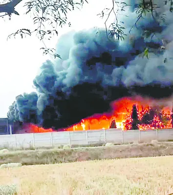 అరటి పండ్ల కోల్డ్‌ స్టోరేజీలో మంటలు 