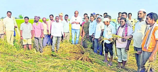 రైతులను ప్రభుత్వం ఆదుకోవాలి