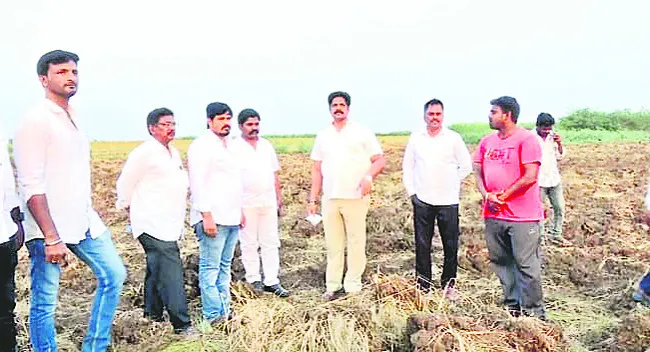 భూ కబ్జాల వెనక పెద్దల హస్తం 