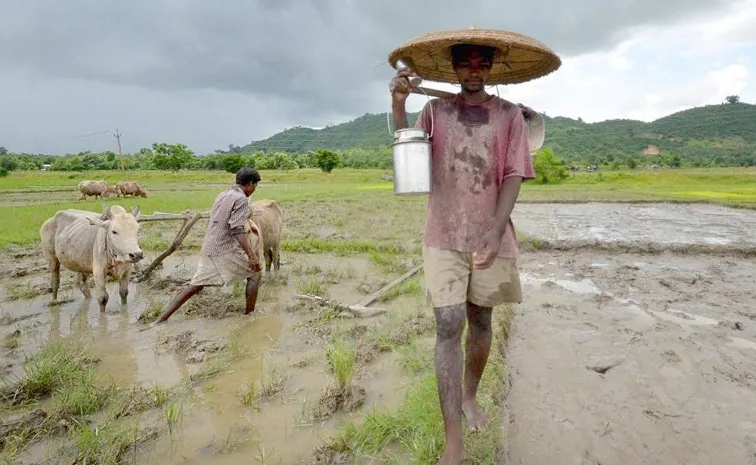 Good News From The India Meteorological Department For Farmers