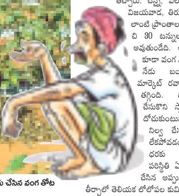 ధర పత