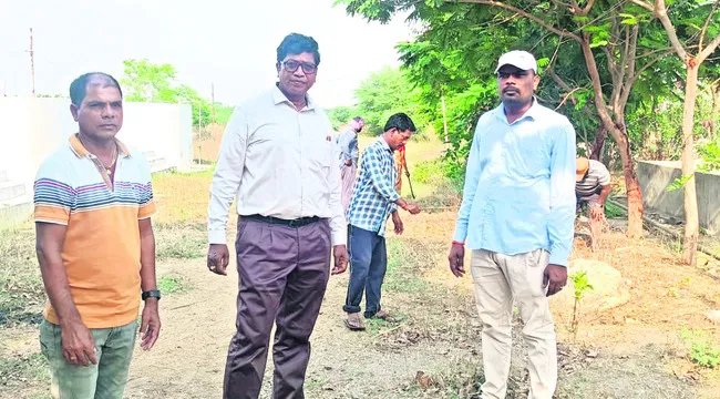 తల్లి చేపలను అందించాలి