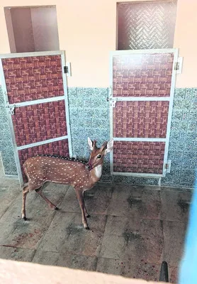 ‘చాలా