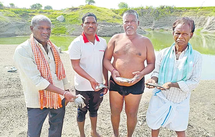 Free fish distribution scheme not yielding expected results