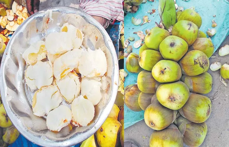 Thousands of families are employed through the ice apples business