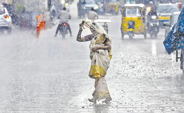 India to receive above normal monsoon rains: IMD