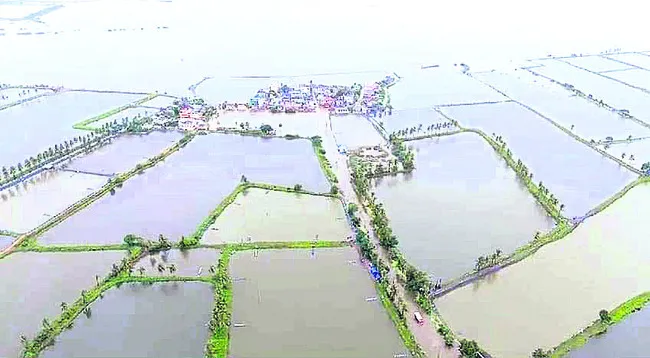 కొల్లేరు కేసు 12 వారాలకు వాయిదా 