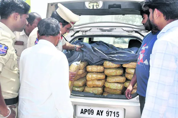 51కిలోల గంజాయి పట్టివేత
