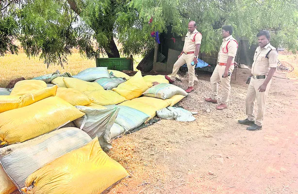 12.75 క్వింటాళ్ల నకిలీ విత్తనాల పట్టివేత 