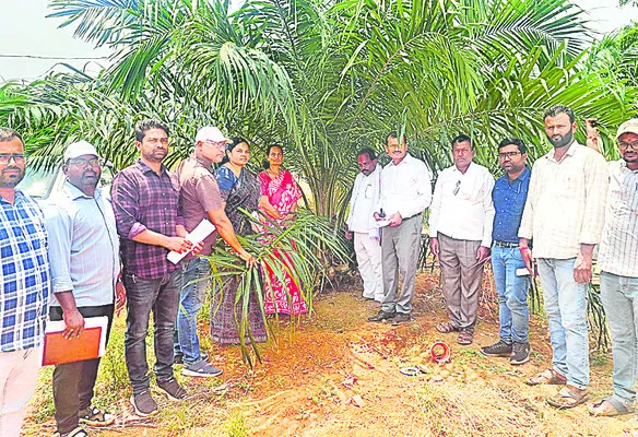 ఆయిల్‌పామ్‌ సాగుకు ముందుకు రావాలి 