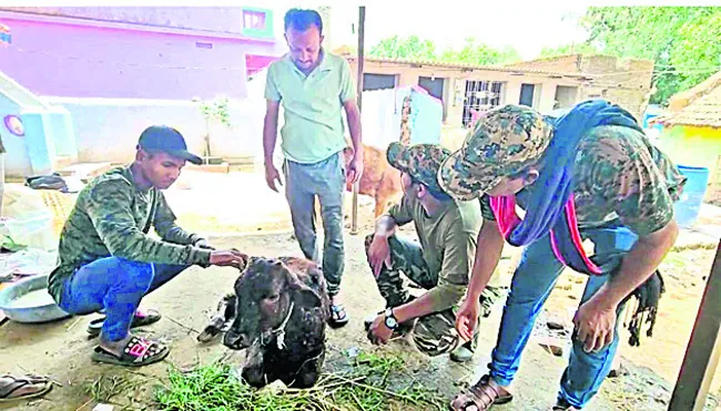 జనావాసాల్లోకి హైనా 