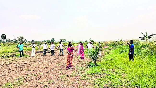 ఉద్రిక్తతల నడుమ పామాయిల్ మొక్కల తొలగింపు