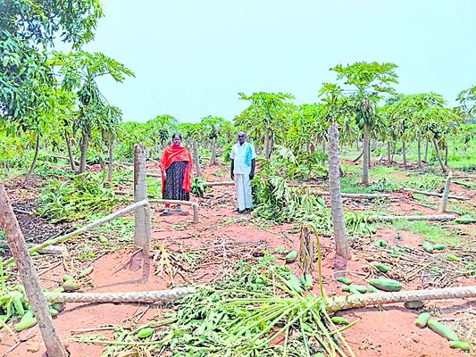 అకాల వర్షం.. మిగిలిన నష్టం