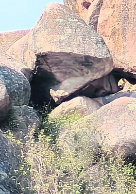 దేవరగుట్టలోనే చిరుతల మకాం 