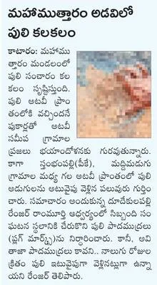 వ్యాధ