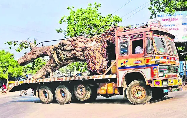 శిశిరంలో వసంతంలా..