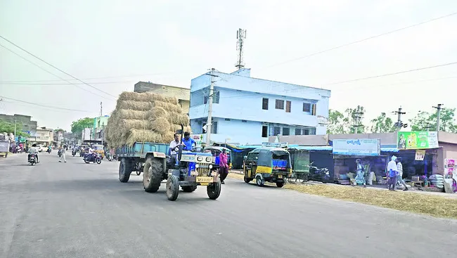 వరి గ