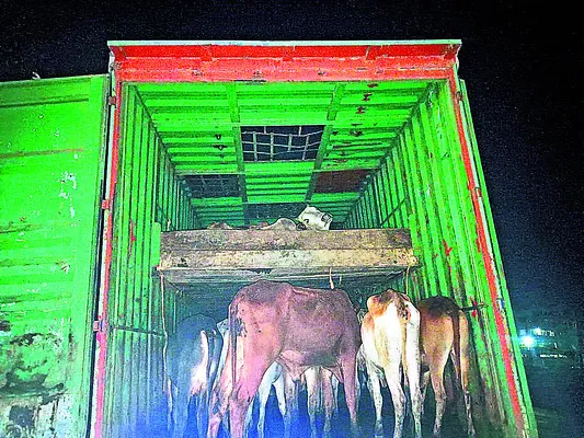 లారీ డ్రైవర్‌కు ఆరు నెలల జైలు  