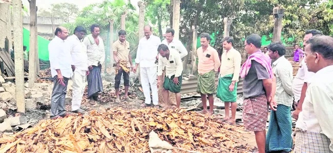 పొగాకు బ్యారన్ల దగ్ధం 