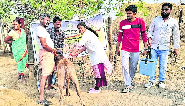 టీకాత