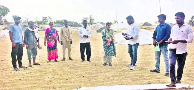 ధాన్యం తూకం త్వరగా ప్రారంభించాలి