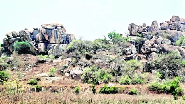 దేవరగుట్టలో  సీసీ కెమెరాల నిఘా 
