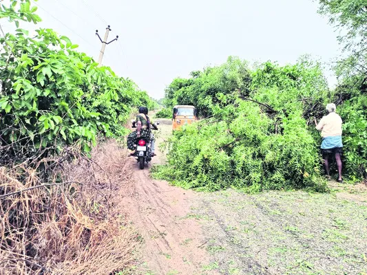 జడ్చర