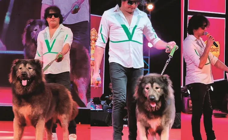 ED probes Bengaluru breeder who bought Rs 50 crore wolfdog