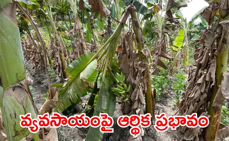 Business Impact of Natural Disasters on Agriculture