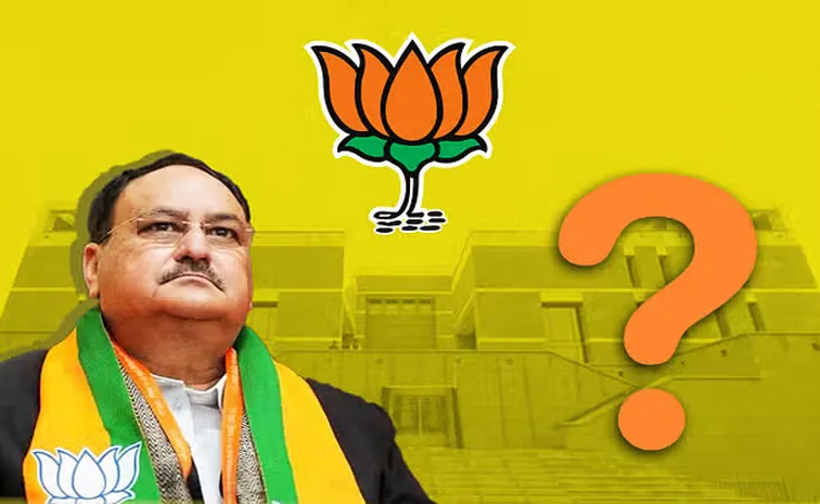 BJP to elect new national president by April-end or early May 2025