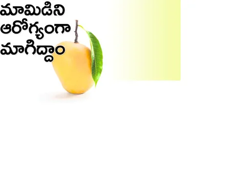 కార్బ