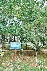 56 parks at sanath nagar Hyderabad check deets inside11
