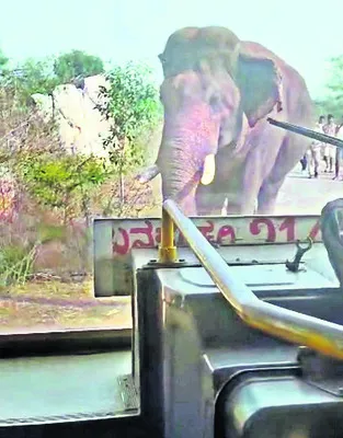 బస్సు