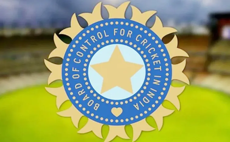 BCCI Ban Former Mumbai T20 League Team Owner For This Reason