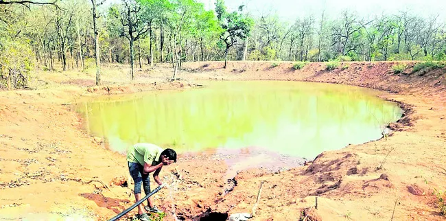 వన్యప్రాణులకు నీటి వసతి