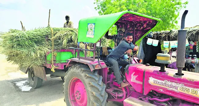 ఈత కొమ్మలకు భలే గిరాకీ
