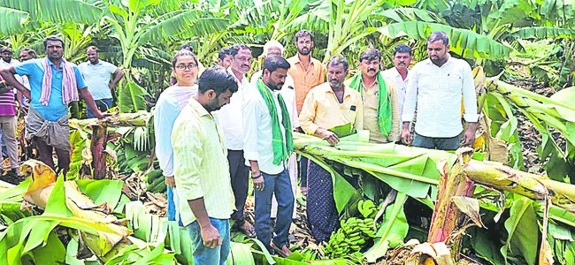 నష్టపోయిన రైతులను ఆదుకుంటాం 