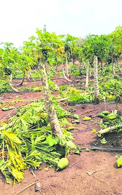 రైతన్నకు వరుణ గండం 