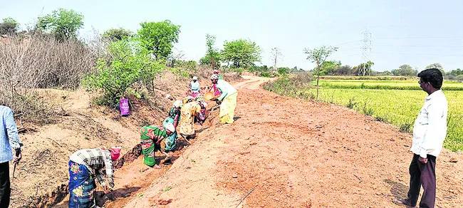 వేతన