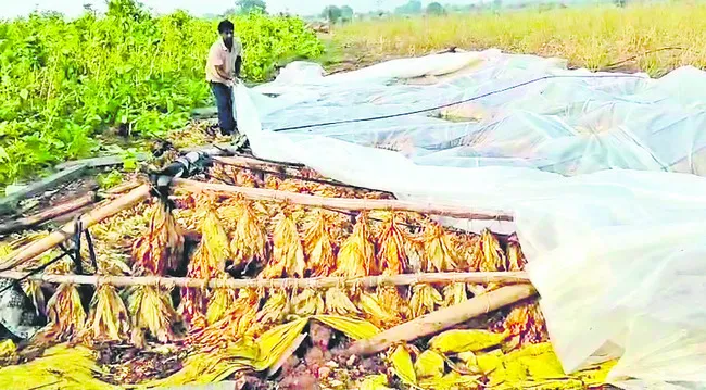 ఈదురు
