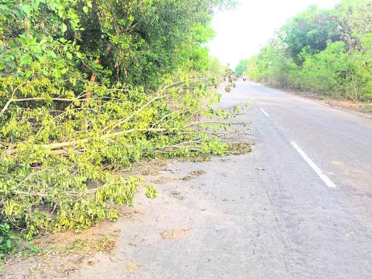 దాది