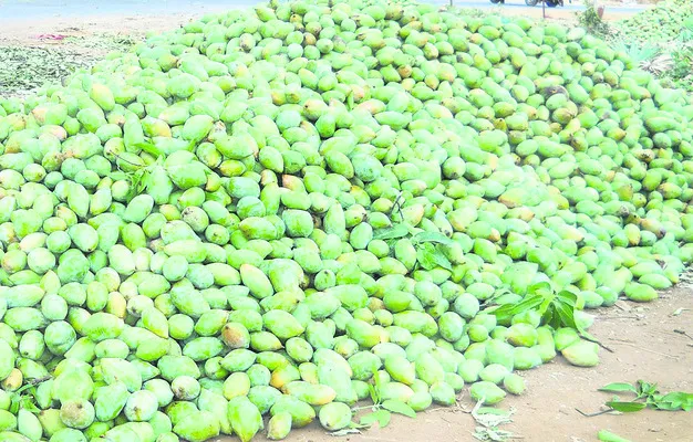 మధుర