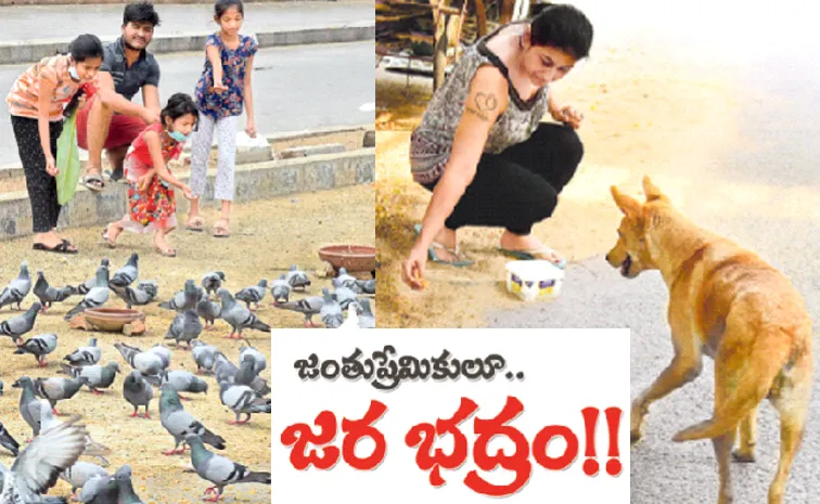Pet lovers just wait Think before you feed?!