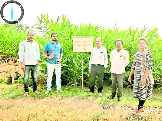 లాభాల