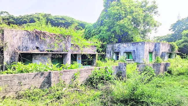 కొత్త