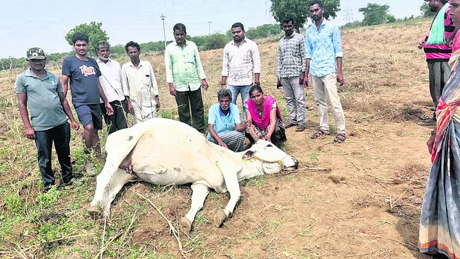నేడు, రేపు కార్యదర్శులకు శిక్షణ 