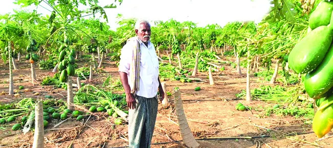 ●21 మండలాల్లో అకాల వర్షం