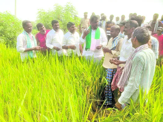 జవాబుదారీగా పనిచేస్తున్నా